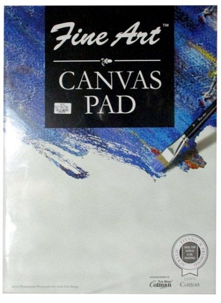FEVICOL FINE ART CANVAS PAD 18X24