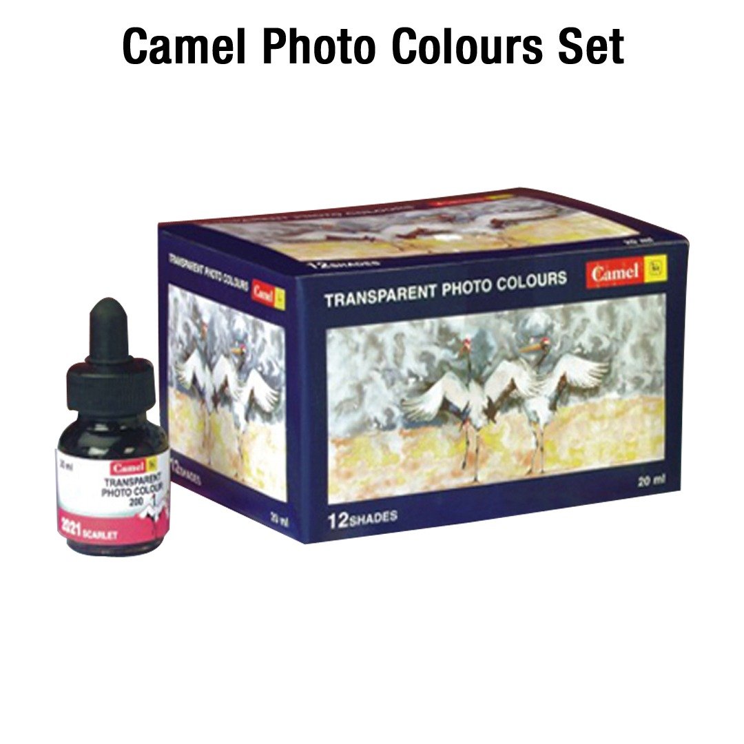 CAMEL PHOTO COLOUR SET 20ML PACK OF 12SHADES
