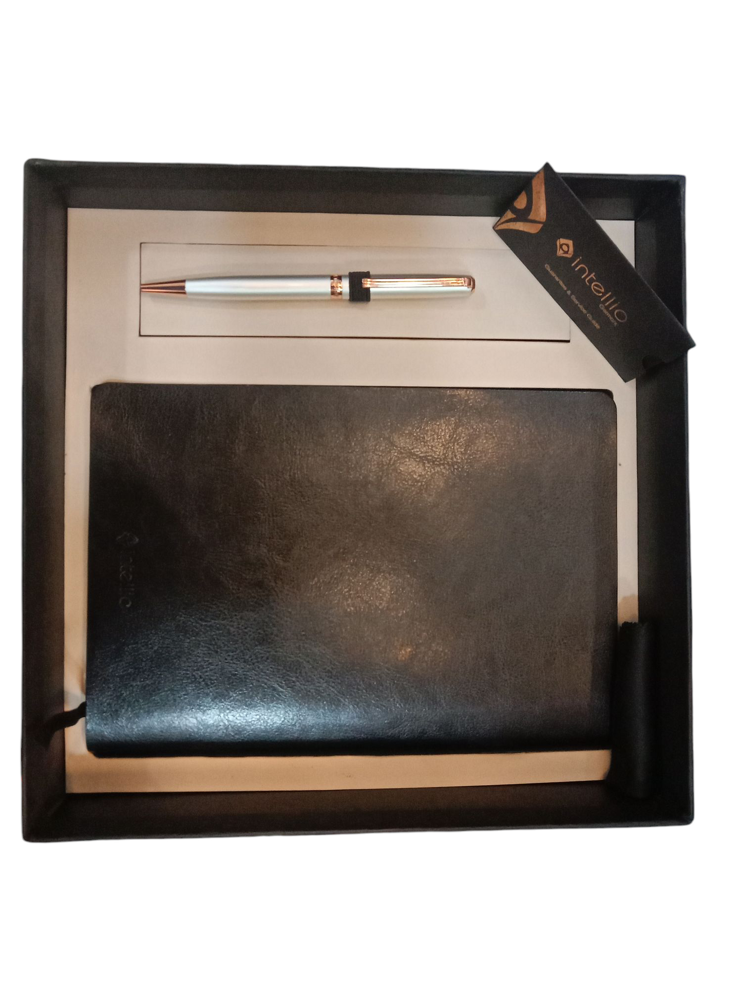 INTELLIO GBP12RGP2 RHEIN BALL PEN +A5 DAIRY