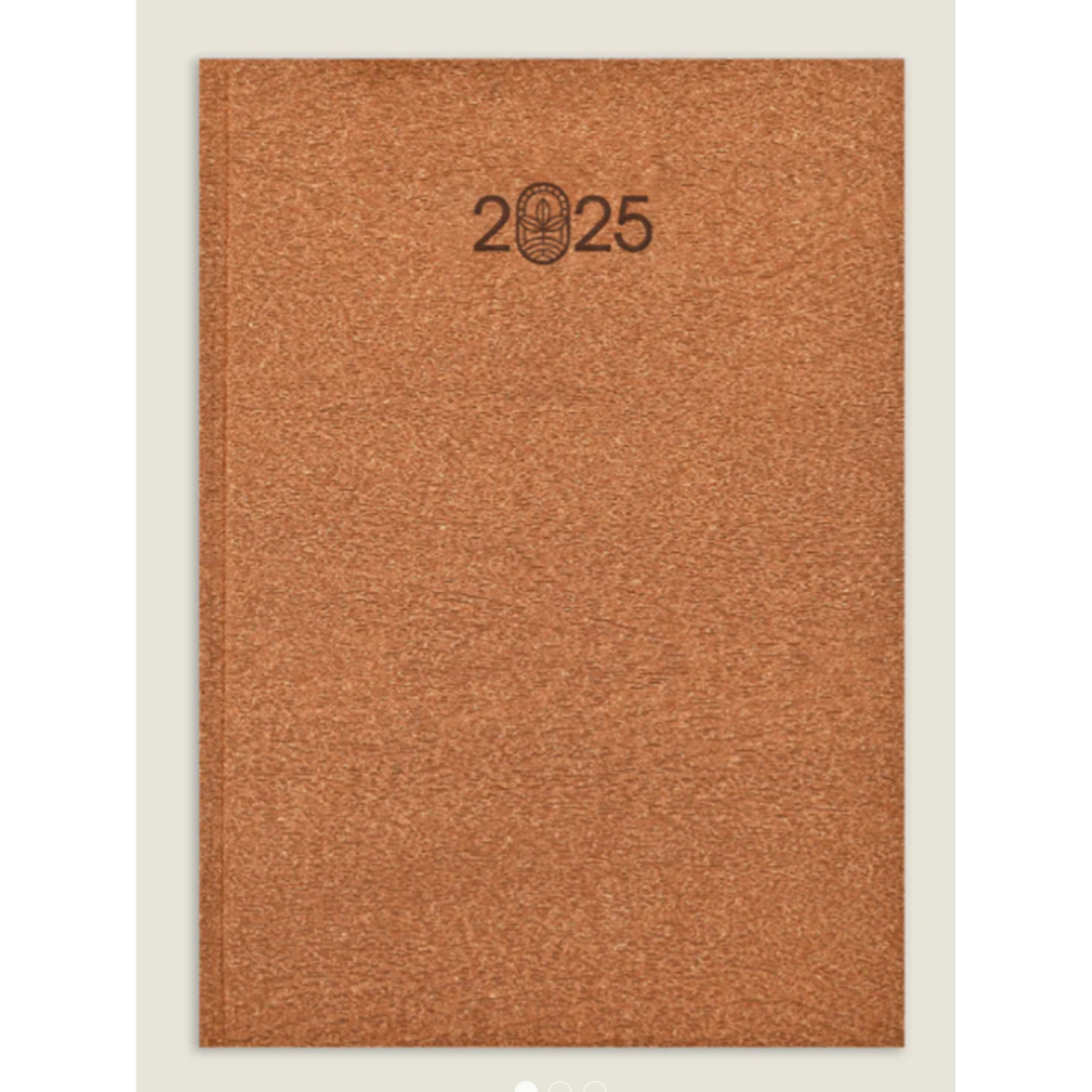 SCHOLAR 801BR B5 ECO DIARY BROWN