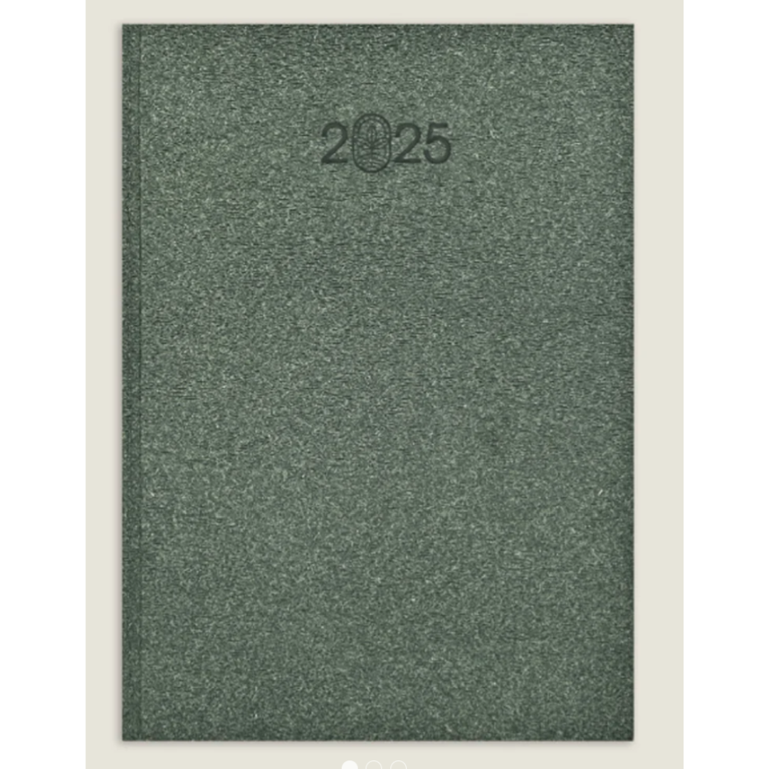 SCHOLAR 803G B5 ELURE DIARY GREEN