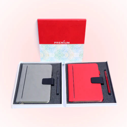 PLANFIX 9842 BIG GIFT SET NB+PEN