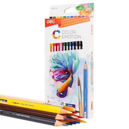 DELI C00700 PENCIL COLOURS
