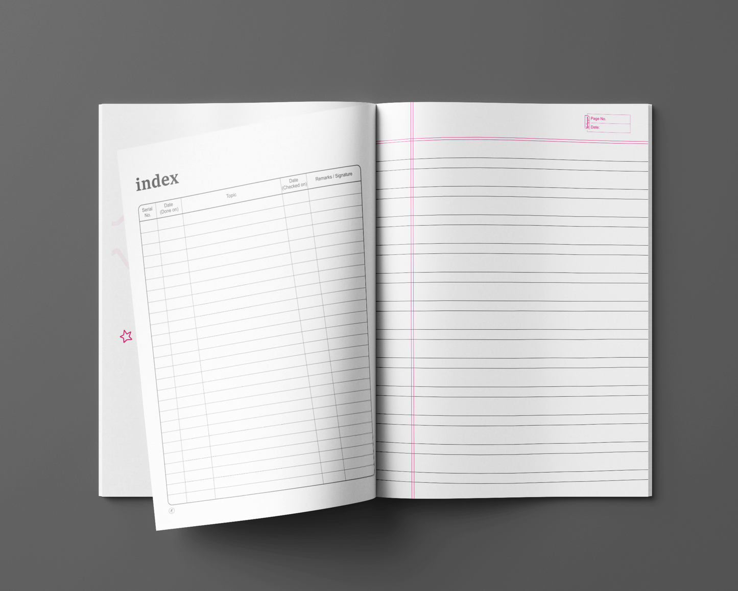 NEELGAGAN MY BUDDY NOTEBOOK HINDI