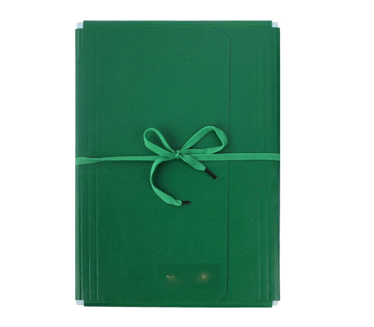 NG FOUR FLAPPER FILE PREMIUM 282