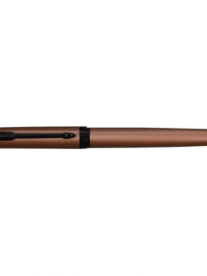 PARKER AMBIENT ROSE GOLD BMT RB 2200