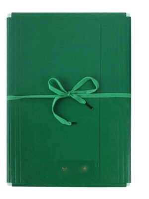 NEELGAGAN FOUR FLAPPER FILE PREMIUM 282