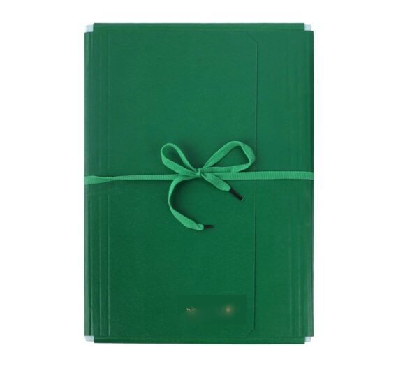 NEELGAGAN FOUR FLAPPER FILE PREMIUM 282