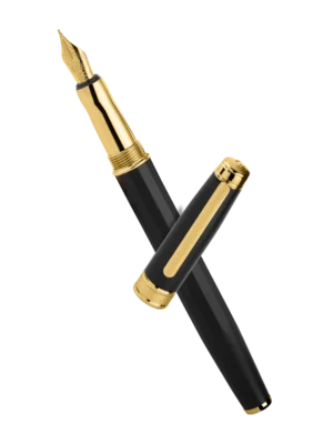 INTELLIO FP13GTP1 MYSTIQUE MATTE BLACK&GOLD FP 4800