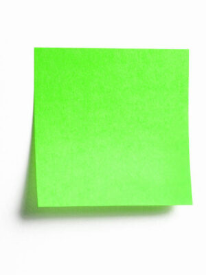 ELEPHANT 279691 3X4 STICKY NOTES MAGNOTE NEON GREEN